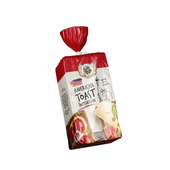 Toast integralni