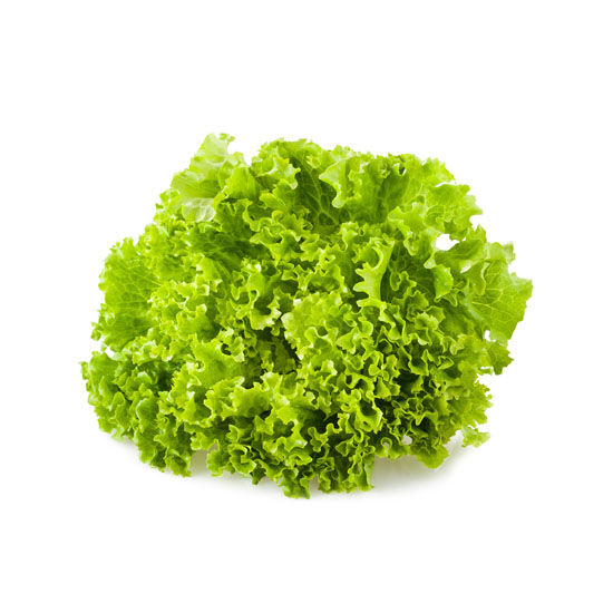 Salata kristalka s korijenom, zemlja podrijetla Hrvatska i Slovenija