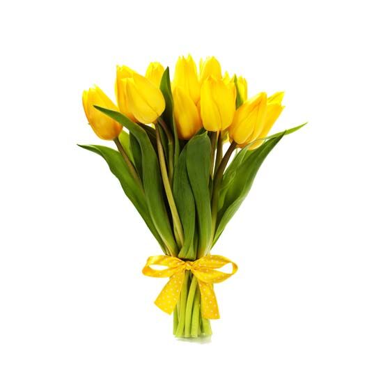Buket tulipana
