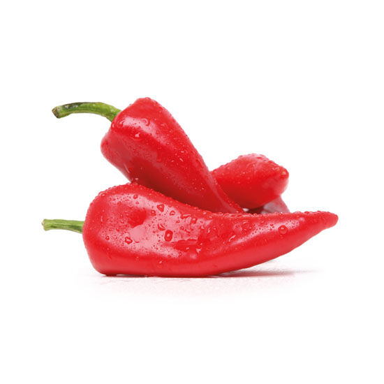 Paprika roga crvena